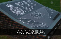 arboritum-b1